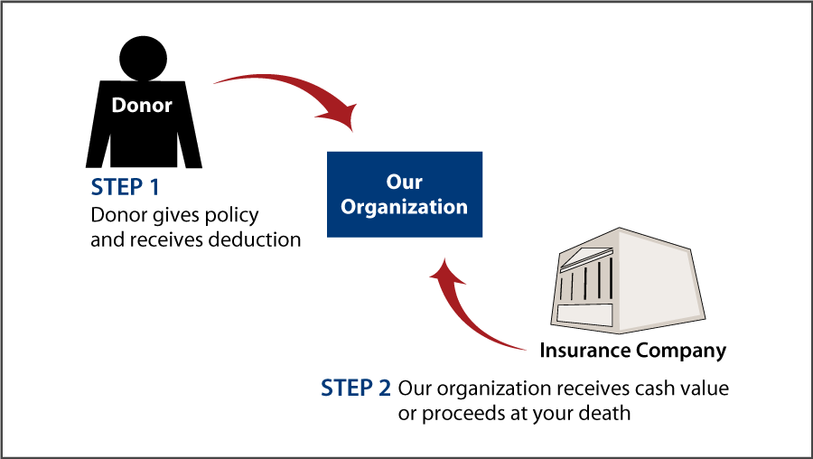 Life Insurance Policy Thumbnail